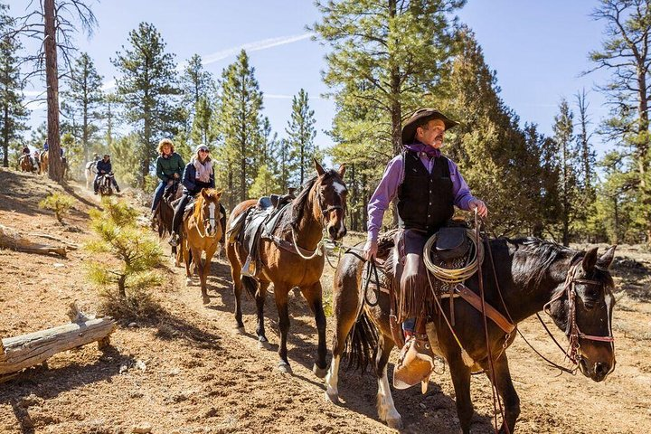 Ruby's Horseback Adventures Utah Thunder Mt. 4 Hour Ride - Photo 1 of 6